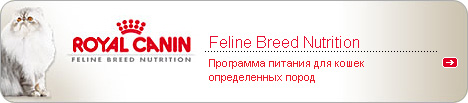 Feline Breed Nutrition -      