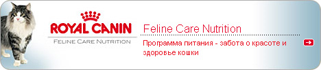 Feline Care Nutrition -   -      
