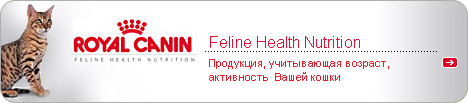 Feline Health Nutrition -   ,     
