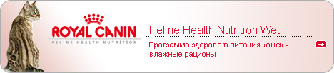 Feline Health Nutrition Wet -     -  