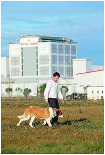 История Royal Canin